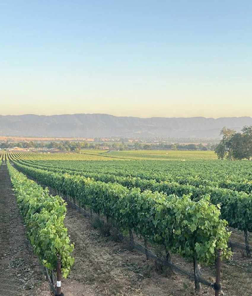 Preferred Limousine & Transportation