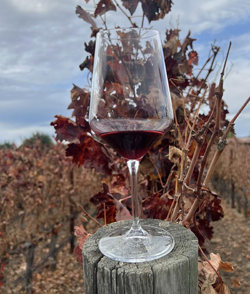 Preferred Limousine & Transportation